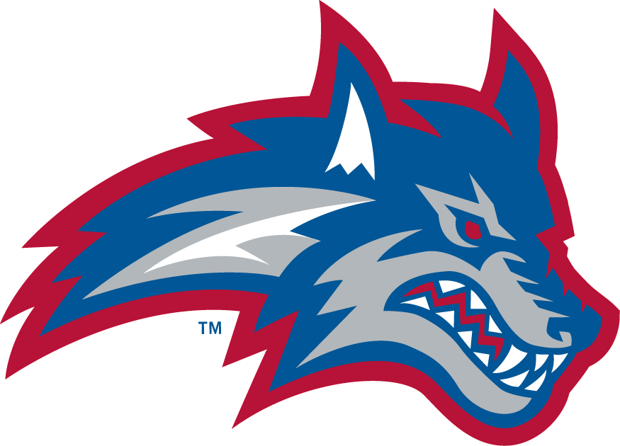 Stony Brook Seawolves 2008-Pres Secondary Logo v2 diy iron on heat transfer